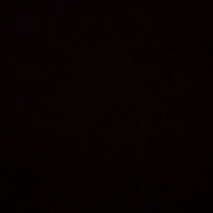 Meet your Posher, Dakota